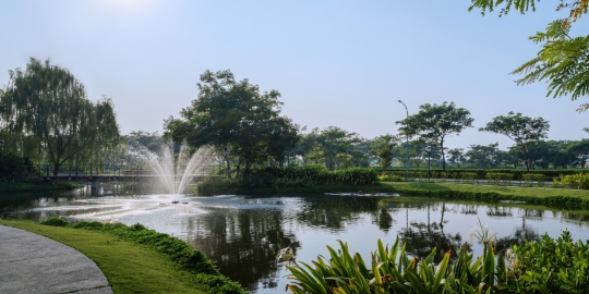 Park pond with a fountain, surrounded by trees and a paved path nearby.